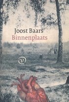 Boek cover Binnenplaats van Joost Baars