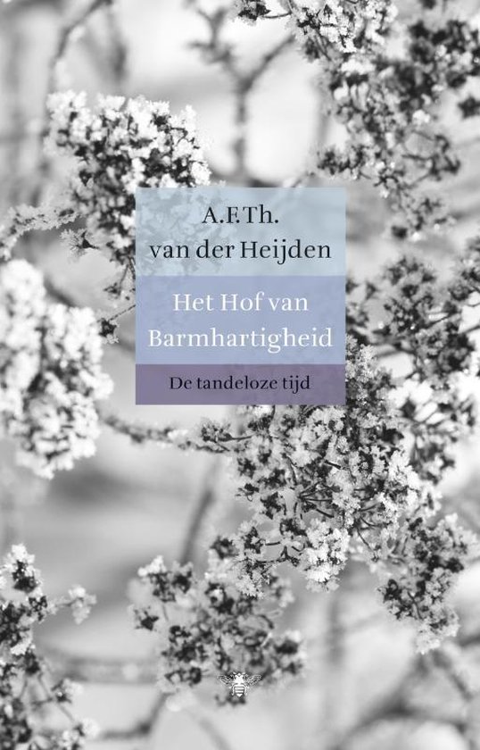 De tandeloze tijd 3, 1e boek - Het hof van barmhartigheid