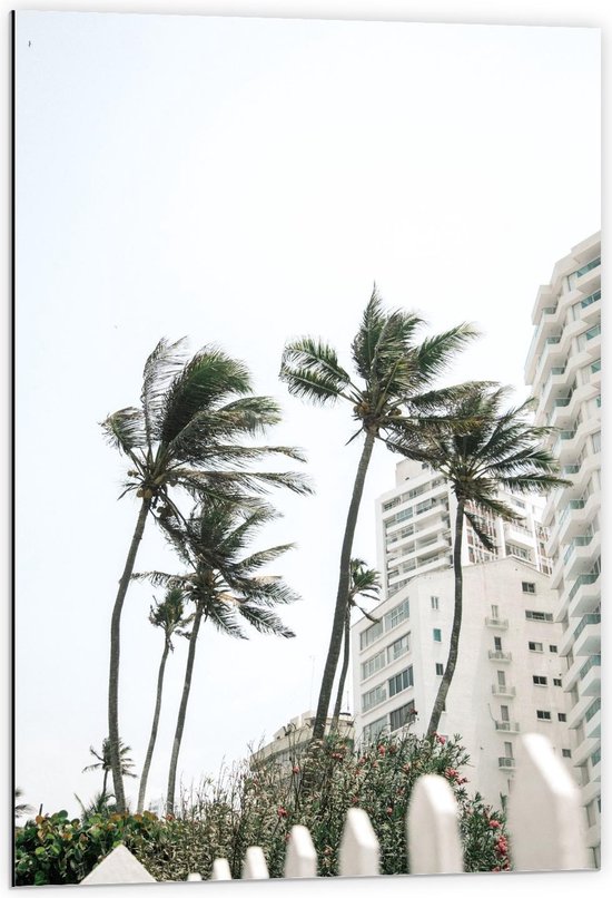 Dibond - Palmbomen in de Stad - 60x90cm Foto op Aluminium (Met Ophangsysteem)
