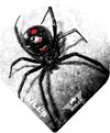 Afbeelding van het spelletje Bull's Powerflite - Black Widow
