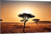 Dibond - Afrikaanse Landschap  - 120x80cm Foto op Aluminium (Met Ophangsysteem)