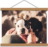 Schoolplaat – Klein Zwart met Wit Hondje  - 40x30cm Foto op Textielposter (Wanddecoratie op Schoolplaat)