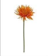 Kunstbloem - Zijde - Gerbera - Wild - Oranje - 50 cm - 1 bloem per stengel - In cadeauverpakking met gekleurd lint