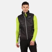 Halton IV Lichtgewichte, gewatteerde Hybrid wandelbodywarmer van Regatta voor Heren, Sportbodywarmer, Zwart Lichtgrijs