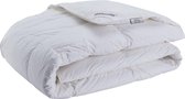 Dreamstar Duvet Xclusive 90% Duvet d'oie Polonais 140x220