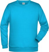 James And Nicholson Heren Basis Sweatshirt (Turquoise)