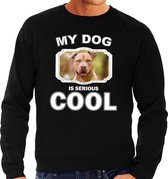 Staffordshire bull terrier honden trui / sweater my dog is serious cool zwart - heren - Staffordshire bull terriers liefhebber cadeau sweaters M