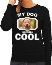 Staffordshire bull terrier honden trui / sweater my dog is serious cool zwart - dames - Staffordshire bull terriers liefhebber cadeau sweaters M