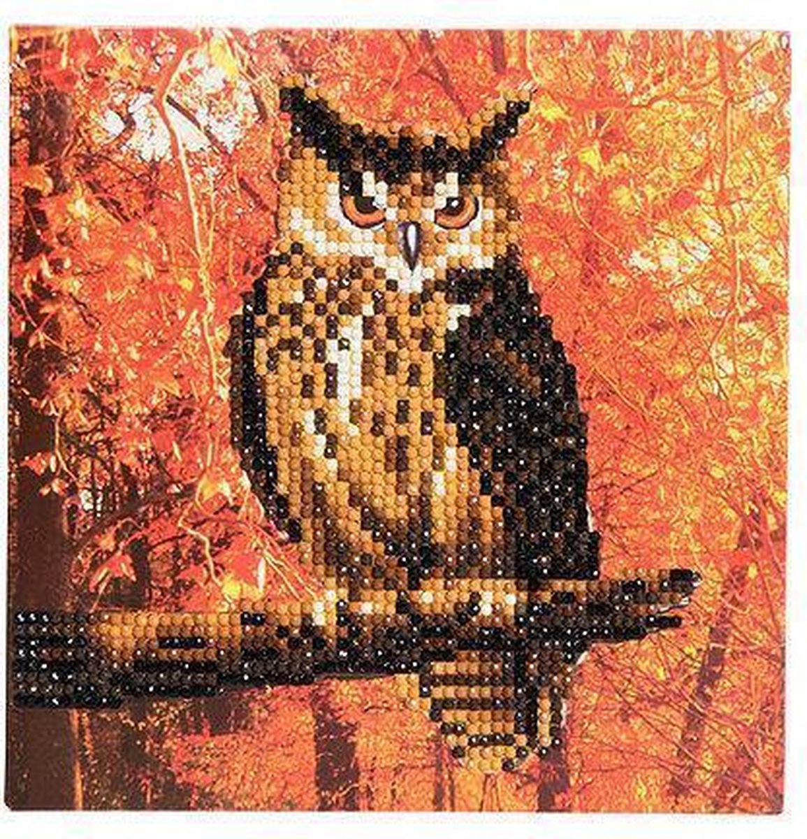 Diamond Painting Crystal Card Kit® Herfst Uil - 18x18 cm — afbeelding 2