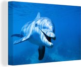 Canvas Schilderij Tuimelaar die naar de camera zwemt - 90x60 cm - Wanddecoratie