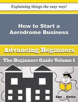 How to Start a Aerodrome Business (Beginners Guide)
