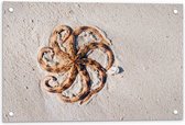 Tuinposter – Mooie Zeester op het Strand - 60x40cm Foto op Tuinposter  (wanddecoratie voor buiten en binnen)
