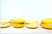 Acrylglas - Rij Gele Macarons - 60x40cm Foto op Acrylglas (Wanddecoratie op Acrylglas)