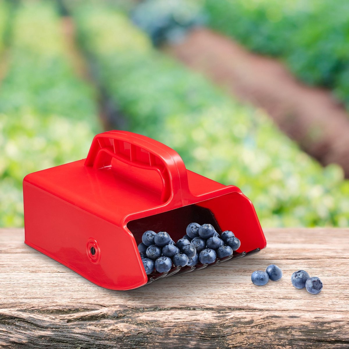 Cueilleur De Myrtilles Et Fruits Rouges Avec Peigne - Poignée Ergonomique, Bac Intégré, En Plastique PP Rouge - 5