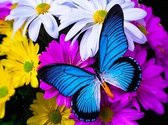 Diamond painting volwassenen - Blauwe vlinder op bloemen 40x30cm - Ronde steentjes - Volledig pakket