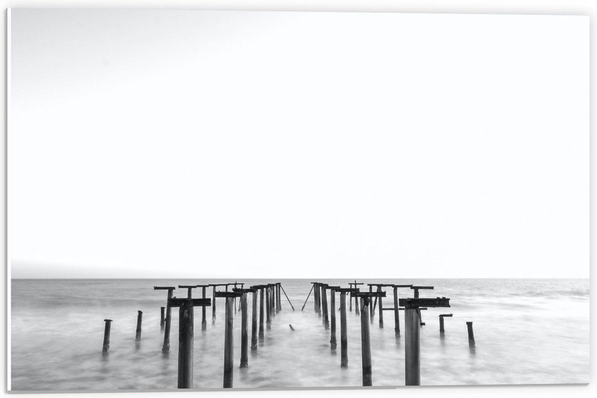 Forex - Palen in het Water Zwart - Wit - 60x40cm Foto op Forex