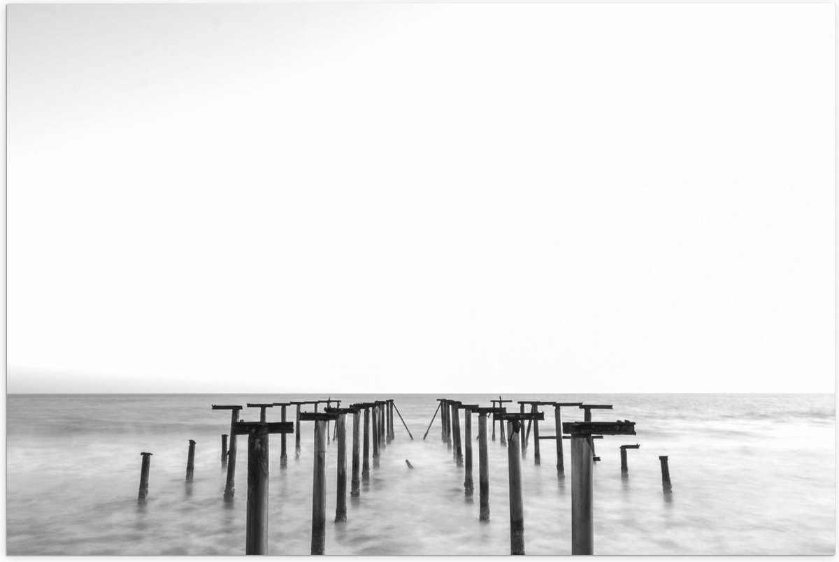 Poster – Palen in het Water Zwart - Wit - 60x40cm Foto op Posterpapier