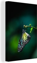 Canvas Schilderij Vlinder op een dunne tak - 80x120 cm - Wanddecoratie