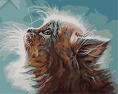 Protsvetnoy Paint by Numbers | Kitten in a Dream - MG2074E