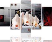 Schilderij , Orchidee , 5 luik , wit grijs rood , 4 maten , Premium print XXL