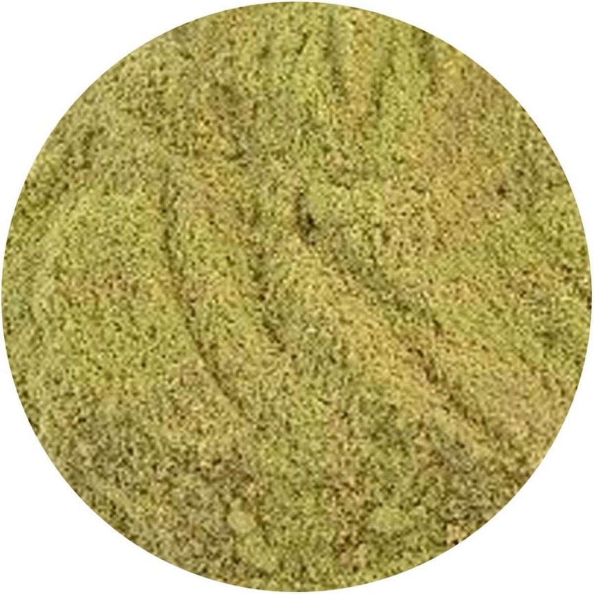 Goedkoopste Rozemarijn Poeder kiemarm - 100 gram - Holyflavours