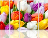 Schilderij , Gekleurde Tulpen , 4 maten , 5luik, multikleur , wanddecoratie , XXL