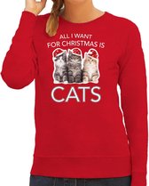 Kitten Kerstsweater / Kersttrui All I want for Christmas is cats rood voor dames - Kerstkleding / Christmas outfit XS