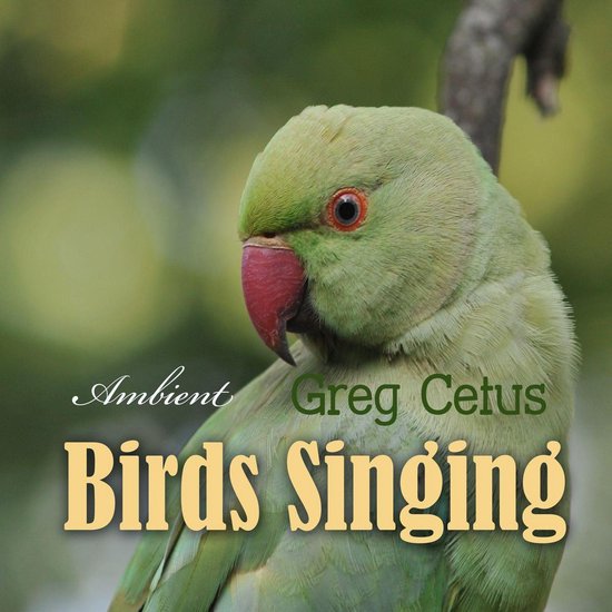 Birds Singing - cover