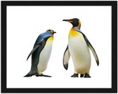 Foto in frame Pinguins, 3 maten, multi-gekleurd, Premium print