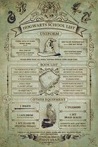 Harry Potter - Poster 61x91 - Hogwarts School List