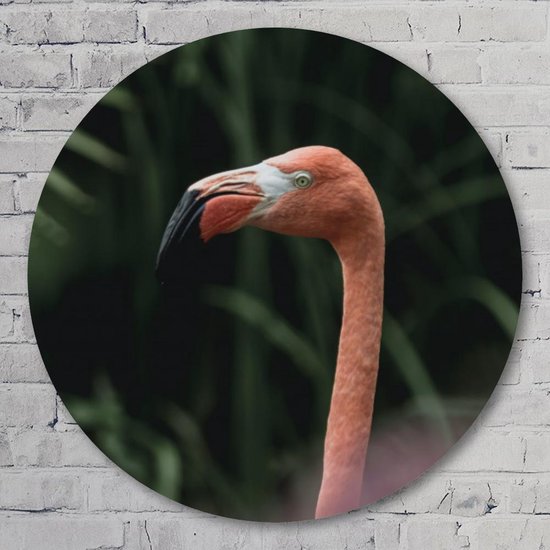 Muurcirkel ⌀ - Flamingo - Kunststof Forex - Dieren - Rond Schilderij - Wandcirkel - Wanddecoratie
