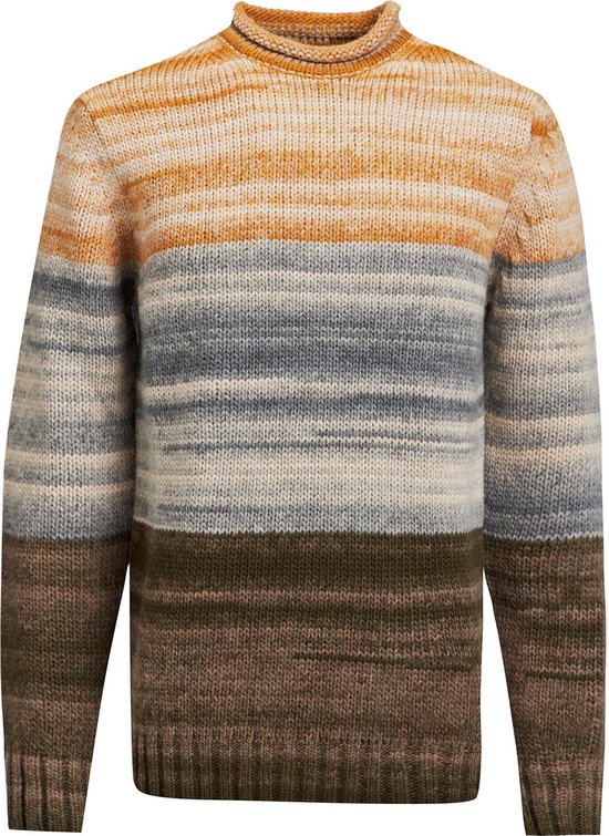 WE Fashion Heren gebreide trui met kleurverloop -Maat M | bol.com