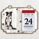 Scheurkalender 2023 Hond: bordercollie