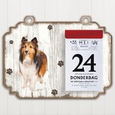 Scheurkalender 2022 Hond: Collie