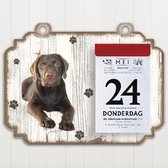 Scheurkalender 2023 Hond: Labrador bruin
