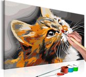 Doe-het-zelf op canvas schilderen - Rode Kat 60x40 ,  Europese kwaliteit, cadeau idee