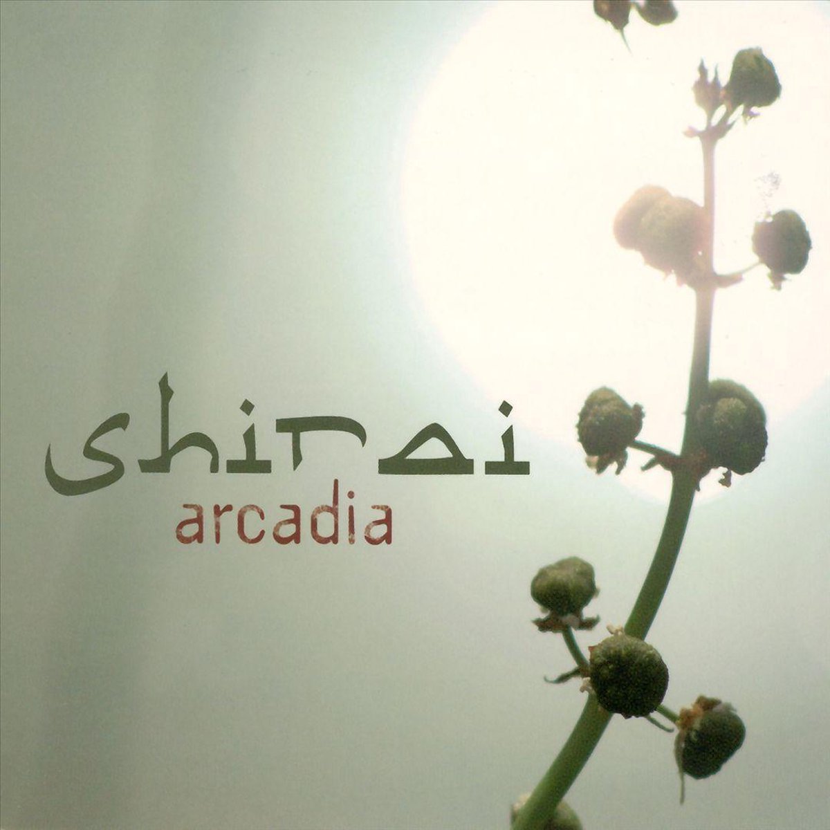Arcadia