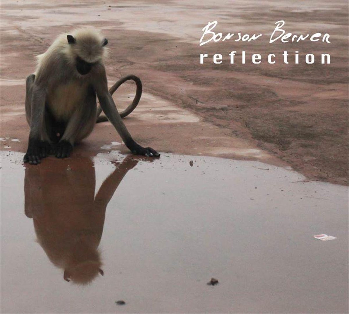 Reflection