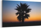 Schilderij - Palm sunset — 100x70 cm