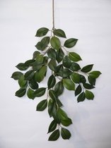 Olea Europaea in Elho Greenville grijs | Olijfboom