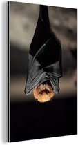 Hanging bat Aluminium 20x30 cm - petit - Tirage photo sur aluminium (décoration murale en métal)
