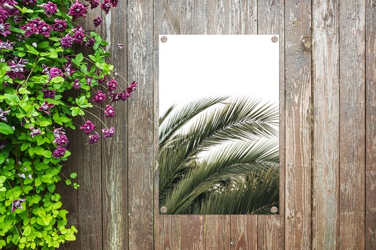 GreatGardenPosters - Décoration de jardin - Feuilles - Palmier - Nature - Été - 40x60 cm - Poster Jardin - Toile Jardin - Poster Extérieur