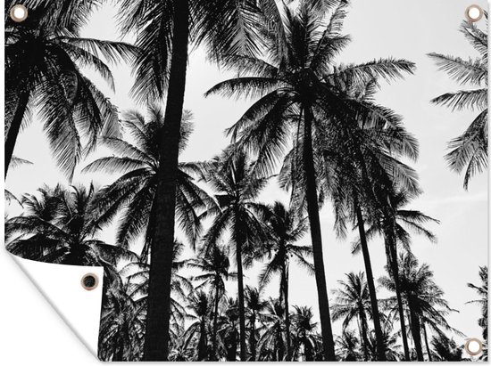 Tuinposter - Palmboom - Tropisch - Bladeren - Tropical - Tuin - 40x30 cm - Tuindoek - Tuindecoratie - Muurdecoratie - Wanddecoratie