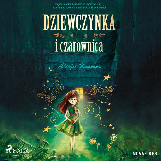 Dziewczynka i czarownica - cover