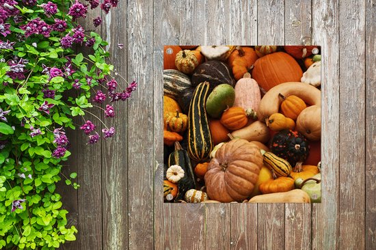 Tuinposter 100x100 cm - Tuindecoratie Pompoen - Herfst - Oranje - Poster voor in de tuin - Buiten decoratie - Schutting tuinschilderij - Tuindoek muurdecoratie - Wanddecoratie balkondoek