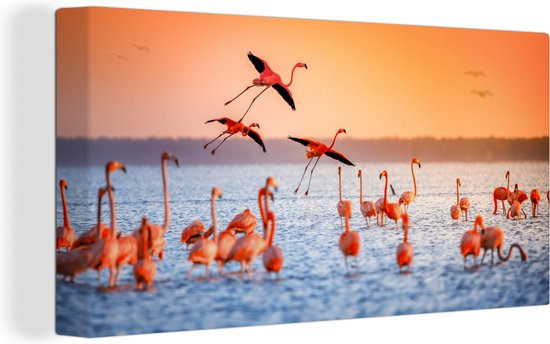 Canvas - Schilderij - Vogel - Flamingo - Zonsondergang - Water - Tropisch - Foto op canvas - 40x20 cm - Canvas vogels - Muurdecoratie