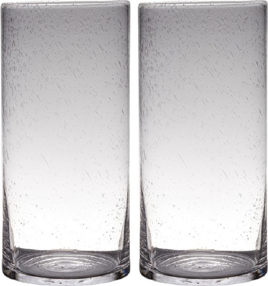 Set van 2x stuks transparante home-basics Cylinder vorm vazen van bubbel glas 40 x 19 cm - Bloemen/takken vaas voor binnen gebruik
