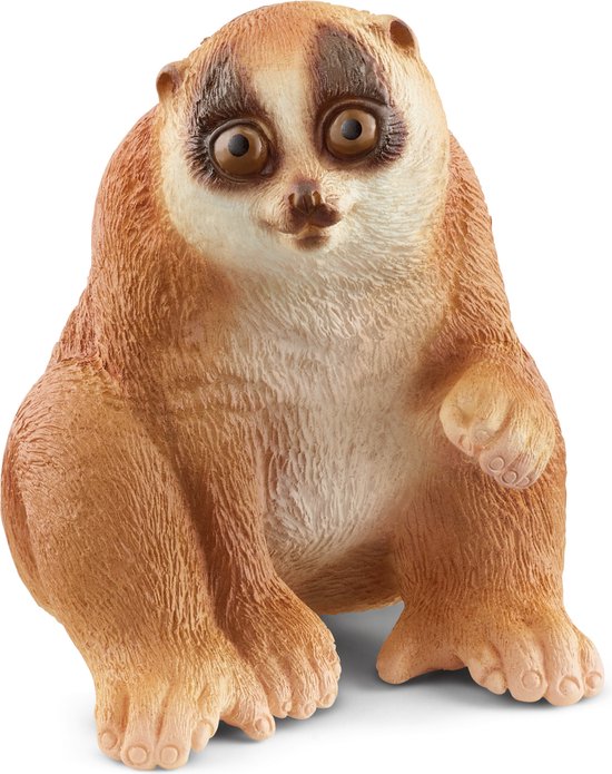 Foto: 