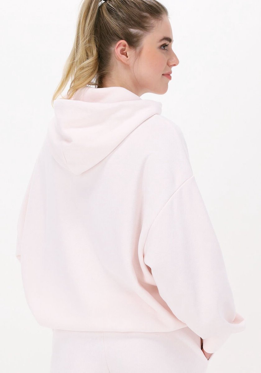 Dier Uil Print Stijl Truien Voor Vrouwen 2024 3D Afdrukken Lange Mouwen Trui Losse Sweatshirts Vrije Tijd S-8XL Mode kopen vanaf een prijs van 3.3