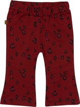 Frogs and Dogs - Wild About You Flair Pants - - Maat 74 -